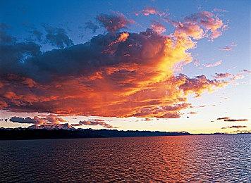 《收获日3》带来的全新体验：好玩又上头